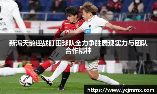 OB电竞官网